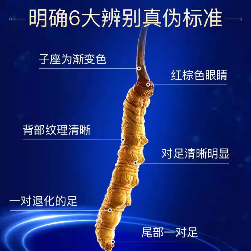 太極上草冬蟲夏草 10g（30 根）｜正品滋補乾貨｜高檔禮盒包裝｜天然養生食材
