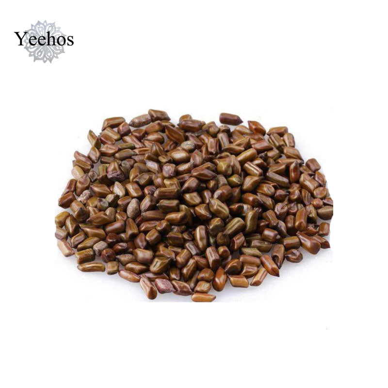 Semen Cassiae (500g)