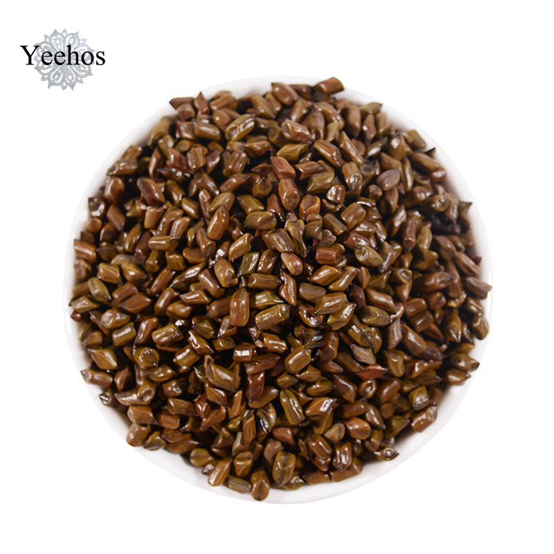 Semen Cassiae (500g)