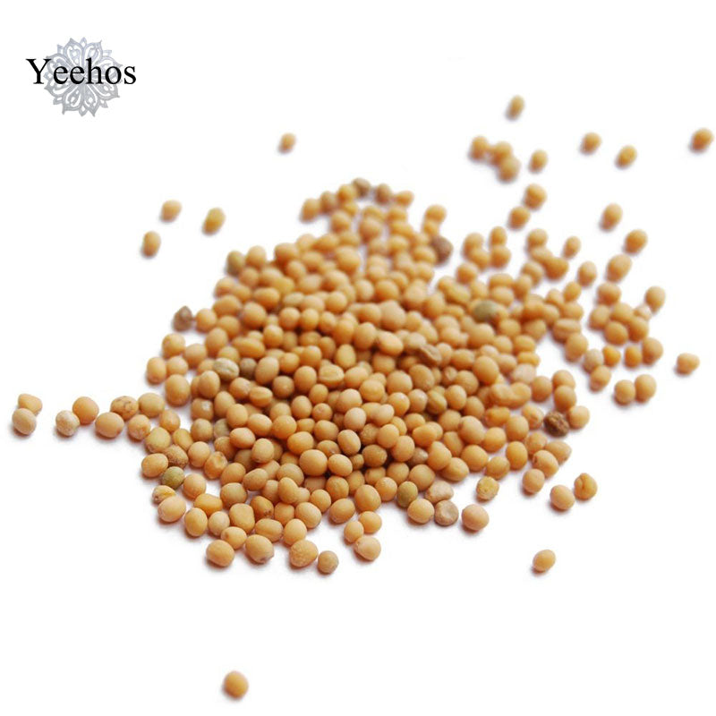 Semen Sinapis Albae (500g)